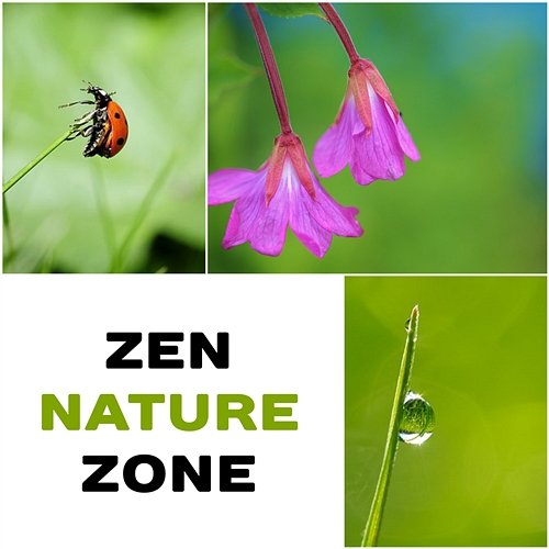 Zen Nature Zone – Soothing Music for Meditation, Relaxation & Yoga, Deep Sleep, Serenity Mothers Nature Music Academy