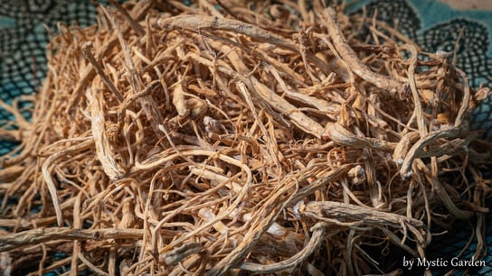 Żeń-szeń (panax ginseng) 25 g korzeń certyfikat Inna marka