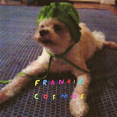 Zentropy, płyta winylowa Frankie Cosmos