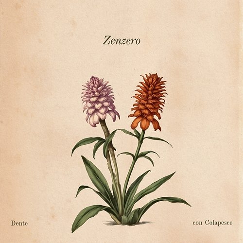 Zenzero (con Colapesce) Dente feat. Colapesce