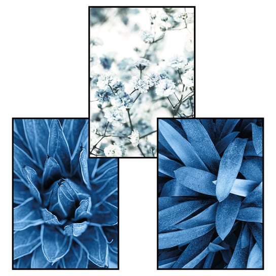 Zestaw 3 Plakatów, Niebieskie Kwiaty, Rozmiar 40X50 cm Fotobloki & Decor