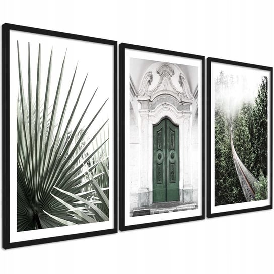 Zestaw 3 sztuk zdjęcie plakat Obraz do biura zielone liście palmy 30x40 cm PosterPlanet