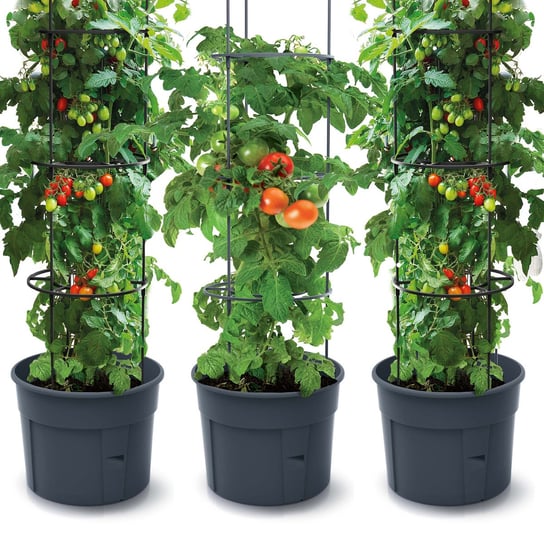 Zestaw 3X Doniczka Donica Do Uprawy Pomidorów Tomato Grower 153 Cm - Antracit PROSPERPLAST