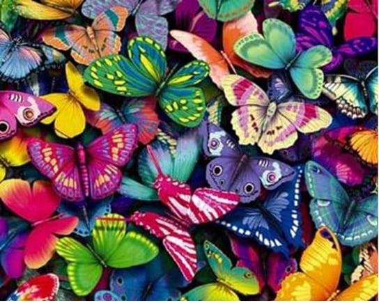 Zestaw DIY malowanie po numerach 31475 Motyle Norimpex