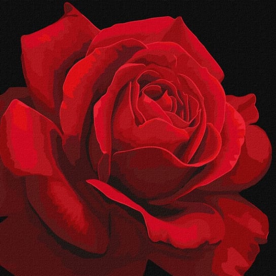 Zestaw do malowania po numerach. "Czerwona róża ©annasteshka" 40х40cm, KHO3238 Ideyka