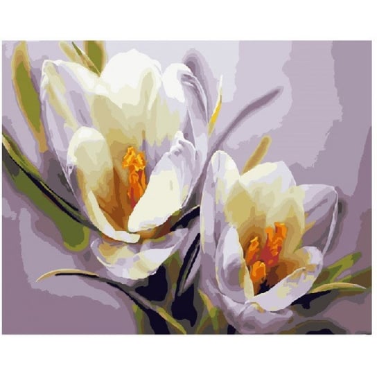 Zestaw do malowania po numerach, Romantyczne magnolie Brushme