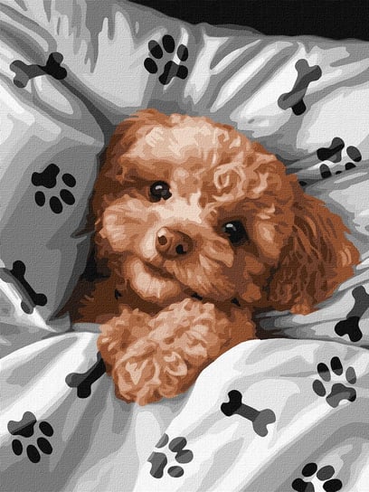 Zestaw do malowania po numerach. "Uroczy Maltipoo ©art_selena_ua" 30х40cm KHO6538 Ideyka