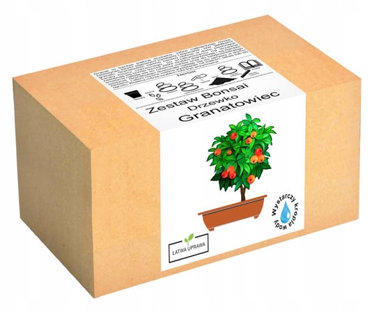 Zestaw do uprawy drzewka Bonsai Granatowiec Granat Inna marka