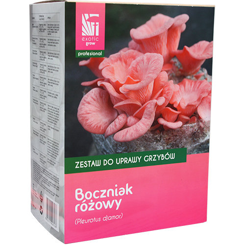 Zestaw do uprawy grzybów Boczniak różowy profesional / Exoticgrow / Inna marka