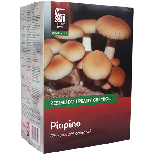 Zestaw do uprawy grzybów Piopino profesional / Exoticgrow / Inna marka
