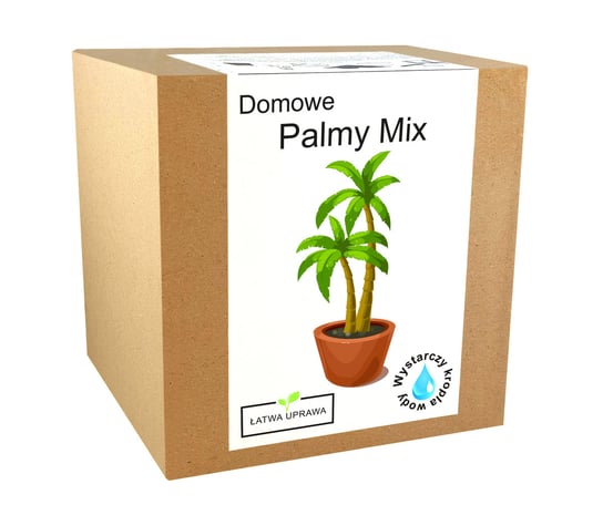 Zestaw Do Uprawy Palm Nasiona Palmy Mix Egoztyczne Inna marka