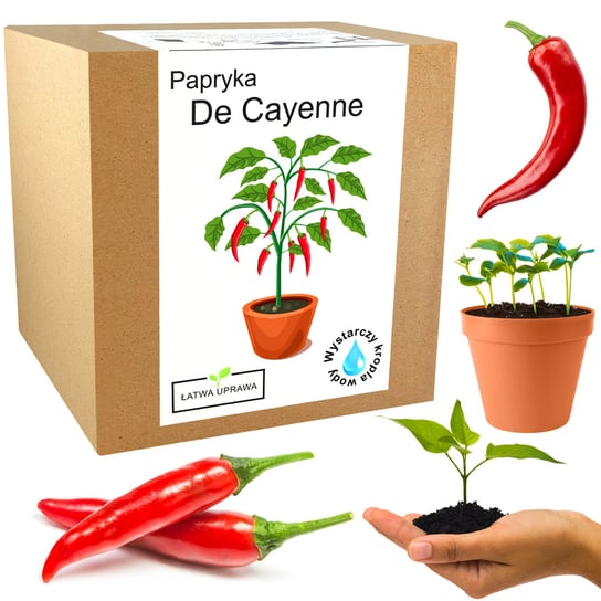 Zestaw Do Uprawy Papryka Chili De Cayenne Papryki Inna marka