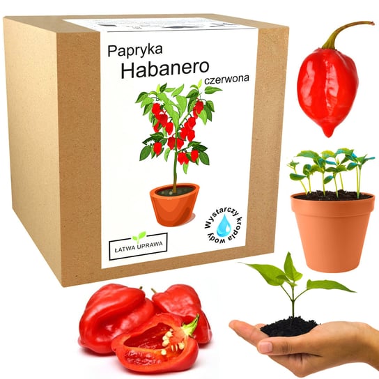 Zestaw Do Uprawy Papryka Chili Habanero Czerwona Inna marka