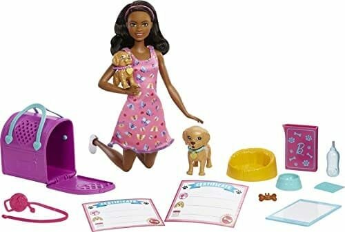 Zestaw Do Zabawy W Adopcję Barbie Hkd87 - Lalka, Szczeniaki, 10 Akcesoriów Barbie