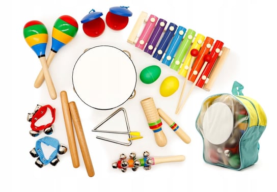 Zestaw instrumentów dla dzieci, Ecotoys Ecotoys