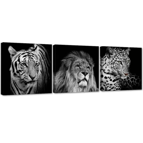 Zestaw obrazów na płótnie FEEBY, Czarno-białe drapieżne zwierzęta 120x40 Feeby