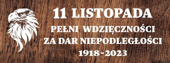 ZESTAW: ORZEŁ 11 LISTOPADA- WYCINANKA Z KARTONU Inna marka