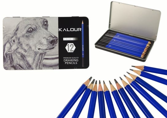 Zestaw profesjonalnych ołówków w metalowej puszce, 12 sztuk Inna marka