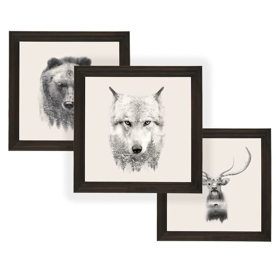 Zestaw trzech obrazów w ciemnej ramie o wymiarach 20x20 cm - seria Zwierzęta POSTERGALERIA