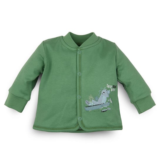 Zielona Bluza Green Dinosaurs  Z Bawełny Organicznej Dla Chłopca-80 NINI