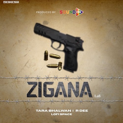 Zigana Lofi Space, R Dee, Tara Bhalwan