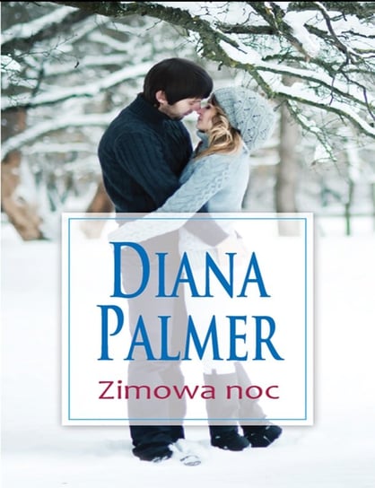 Zimowa noc Palmer Diana
