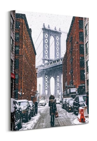 Zimowy Brooklyn - obraz na płótnie Nice Wall