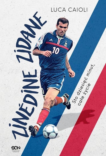 Zinedine Zidane. Sto dziesięć minut, całe życie - ebook epub Caioli Luca