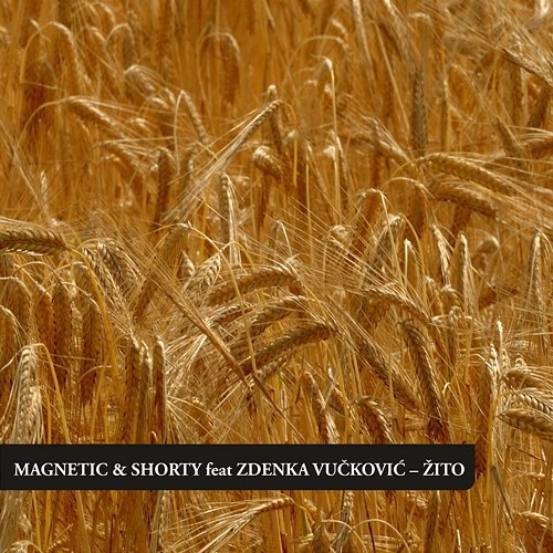 Žito Shorty feat. Zdenka Vučković, Magnetic