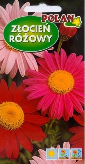 Złocień różowy Robinsons Mieszany 1 g POLAN Inna marka