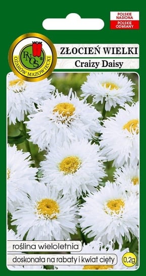 Złocień wielki Crazy Daisy biały 0.2 g PNOS Inna marka
