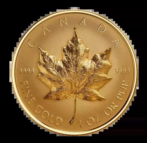 Złota moneta Wypukły Kanadyjski Liść Klonowy 1 uncja złota - wysyłka 24 h! Mennica Skarbowa