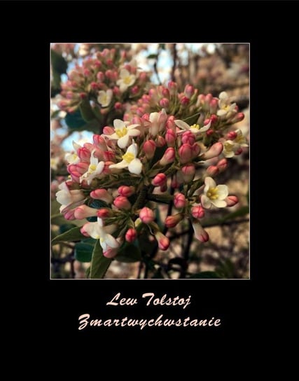 Zmartwychwstanie - ebook epub Tołstoj Lew