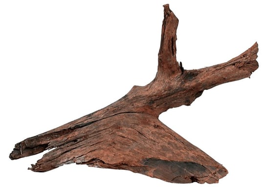 Zolux Korzeń Mangrowca 25-40 cm Zolux