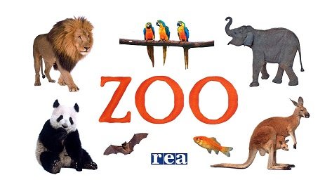 Zoo Opracowanie zbiorowe