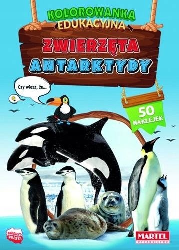 Zwierzęta Antarktydy z naklejkami. Kolorowanka edu Confortime