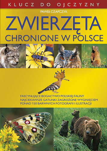 Zwierzęta chronione w Polsce Czapczyk Paweł