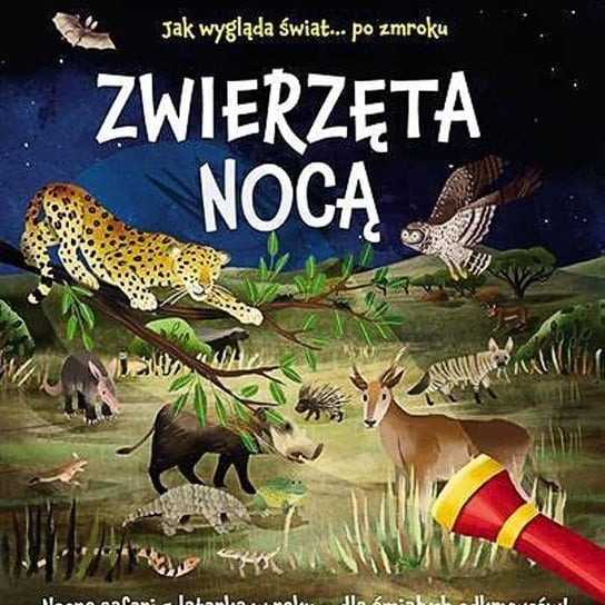 Zwierzęta nocą - podcast Durejko Marcin