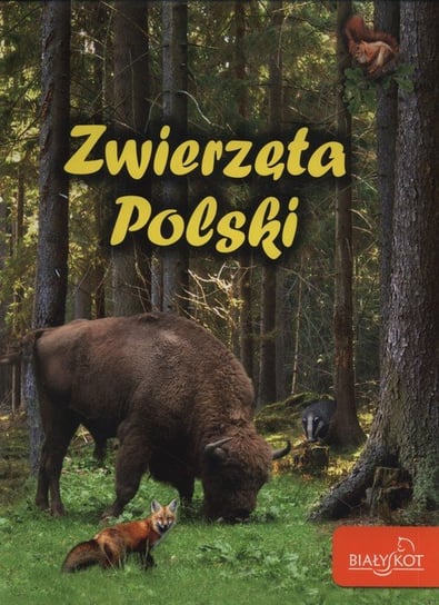 Zwierzęta Polski Zarych Elżbieta