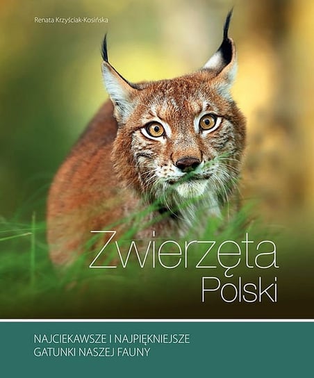 Zwierzęta Polski Kosińska Renata