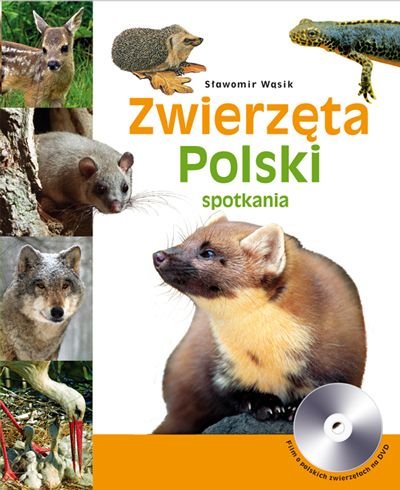Zwierzęta Polski Wąsik Sławomir