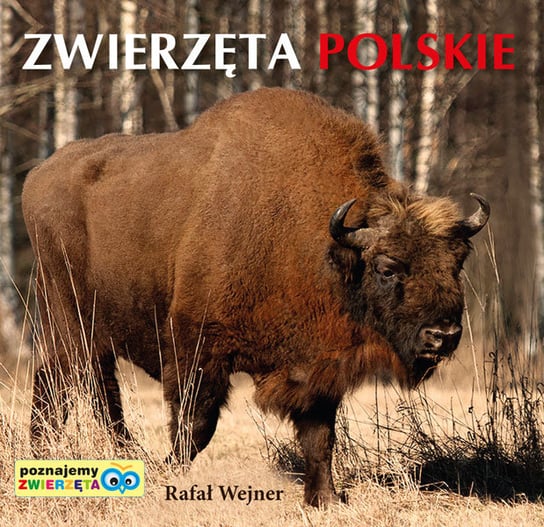 Zwierzęta polskie Wejner Rafał