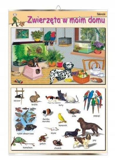 Zwierzęta w moim domu dla dziecka plansza plakat VISUAL System