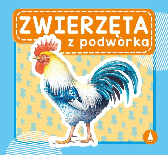 Zwierzęta z podwórka Opracowanie zbiorowe