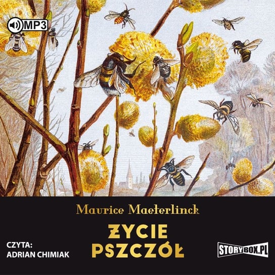 Życie pszczół Maeterlinck Maurice