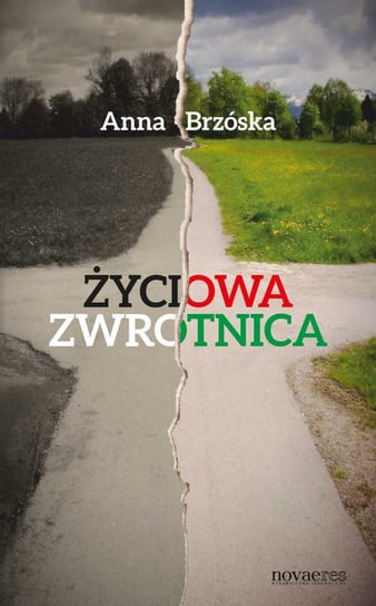 Życiowa zwrotnica - ebook mobi Brzóska Anna