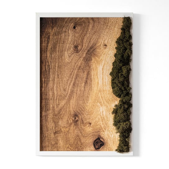 Żyjący Obraz Z Mchem W Drewnianej Ramie - Dębowa Deska Naturalna - 40X60 Cm Tulup