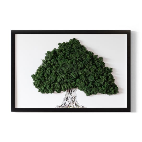 Żywy Obraz z Mchu Bez Podlewania - Drzewo z korzeniami na białym tle - 60x40 cm Tulup