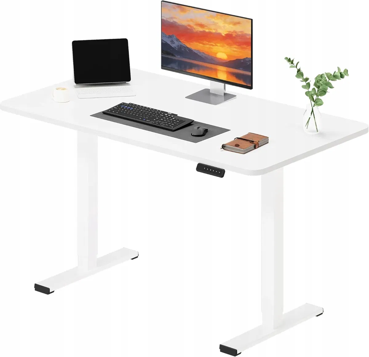 Inny producent Biurko elektryczne regulowane 120x60 SIT STAND PANEL SANODESK FQ2