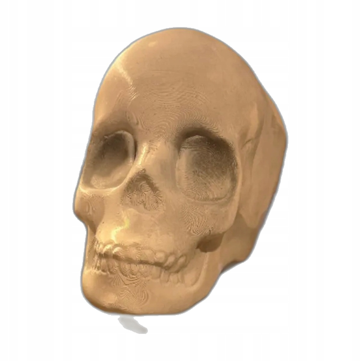 Szkielet Halloween Corner Creeper - Dekoracja ścienna - FALCON EYE ...